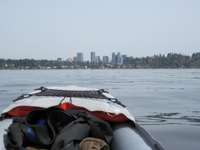A view of downtown Bellevue from Lake Washington