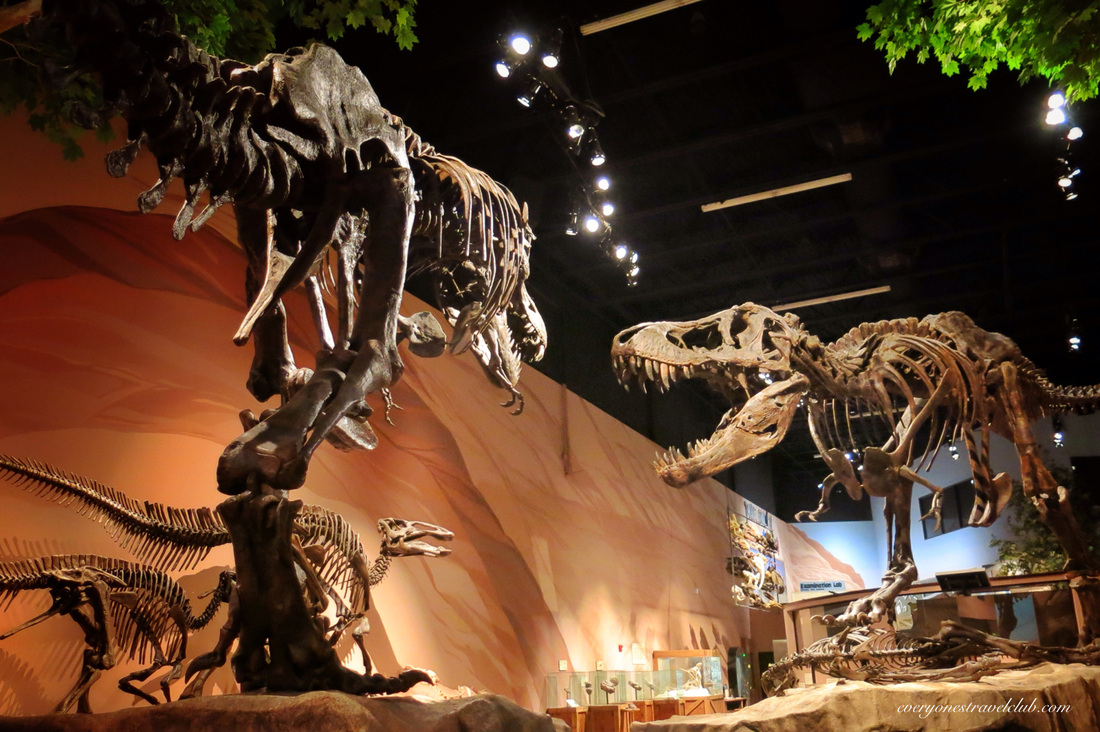 A visit to the Museum of Ancient Life in Lehi, Utah {not a ...