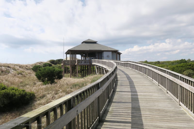 View of the boardwalk leading to the seasonal snack shack on Bear Island.