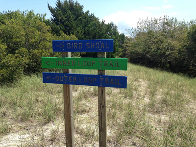 Trail markers on Town Marsh, Beaufort, North Carolina