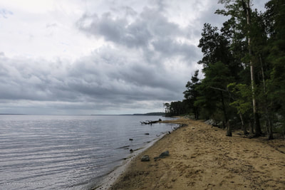 A view from Flanners Beach at the Neuse River recreation area.