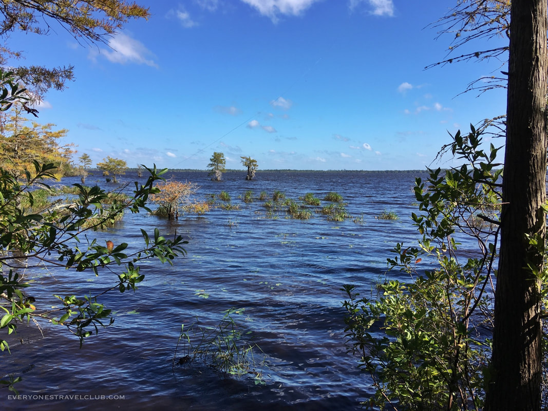Croatan National Forest's Great Lake