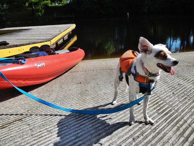 Kayaking with the mutt (wearing her Outward Hound doggie PFD).