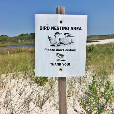 Bird nesting area sign in Eastern North Carolina