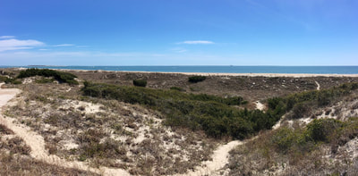 A beach panorama from the top of a high dune on the Elliott Coues Nature Trail in North Carolina.