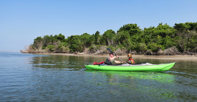 Kayaking around Sugarloaf Island in the summer