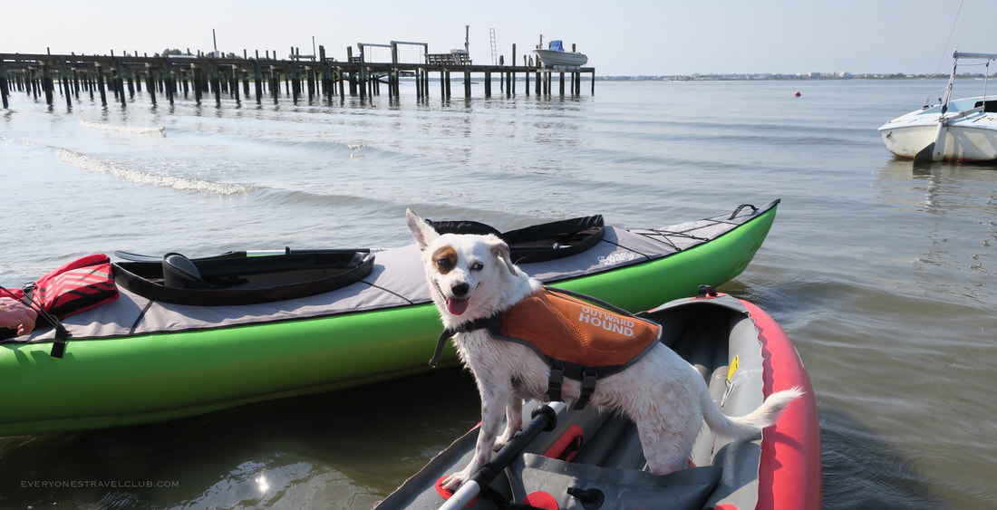 A dog aboard an inflatable kayak at the 11th street water access in Morehead City, NC.