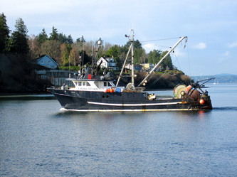 Fishing boat entering the Ballard Locks in Seattle