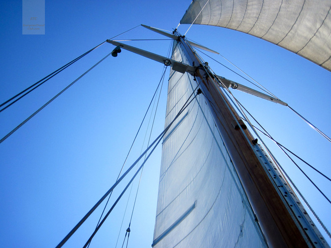 The mast and mainsail of S/V Orion