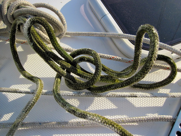 A before picture of dirty lines aboard our new sailboat