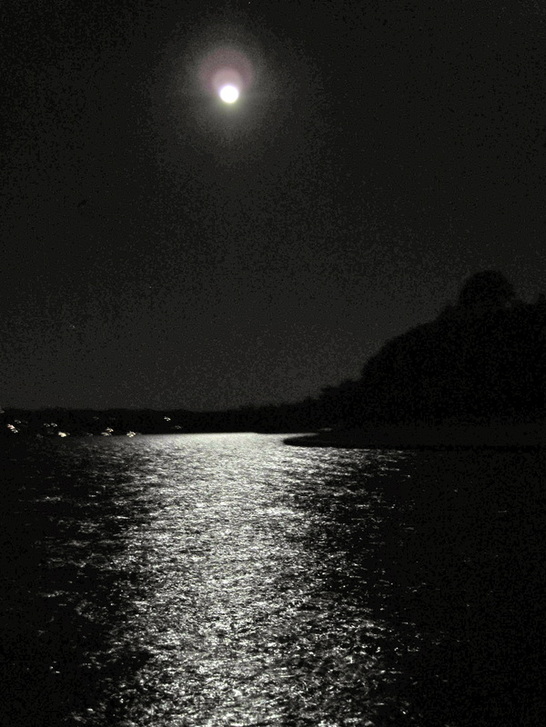 Moonlight on a Lake Washington paddle in Seattle