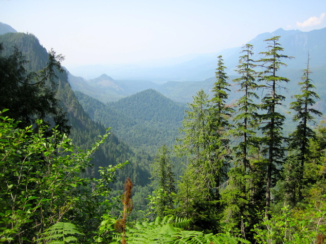 A view from a lookout on the trail to Lake Serene