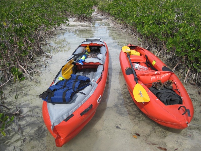 Our Innova Helios 2 and Safari ready to launch in the mangroves near Key West