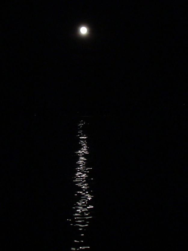 A Seattle super moon with reflection on Lake Washington