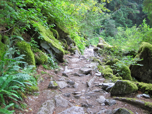 The hiking trail to Lake Serene near Index Washington