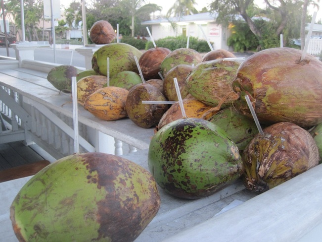 Coconuts with straws in Miami