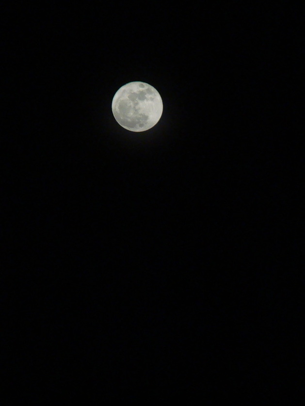 A close up of the Super Moon over Lake Washington, Seattle