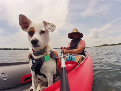 Paddling with your dog on the Crystal Coast, NC