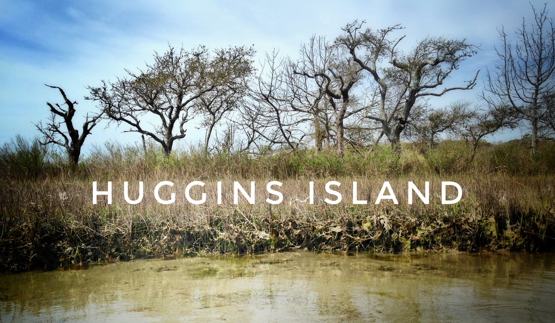 Paddling around Huggins Island the easy way!