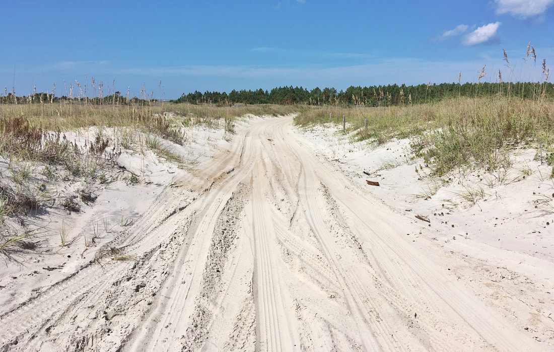 The back service road at Cape Lookout, NC