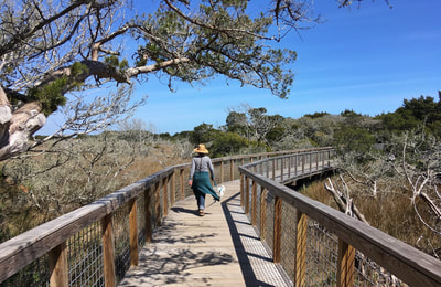 Walking on the marsh boardwalk at Fort Macon State Park, NC