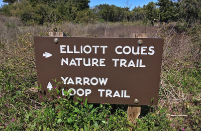 Trail information on the Elliott Coues Nature Trail and Yarrow Loop Trail
