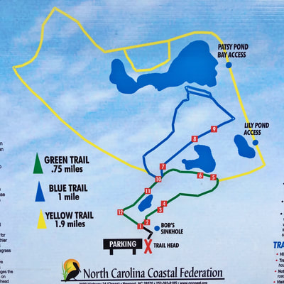 A map of the Patsy Pond Nature Trail area
