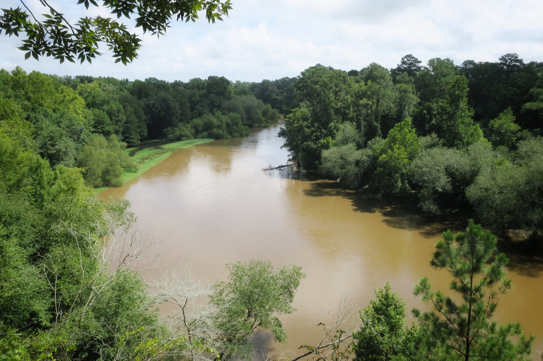 A view of the River from the overlook at Cliffs of the Neuse State Park