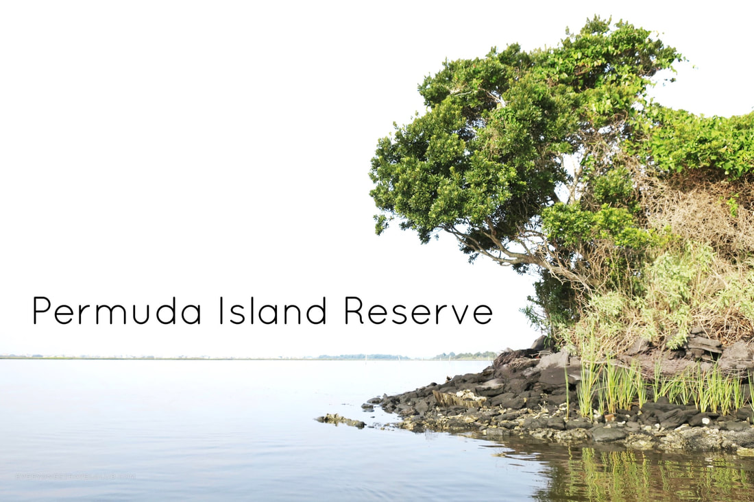Kayaking to the Permuda Island Reserve in 2018!