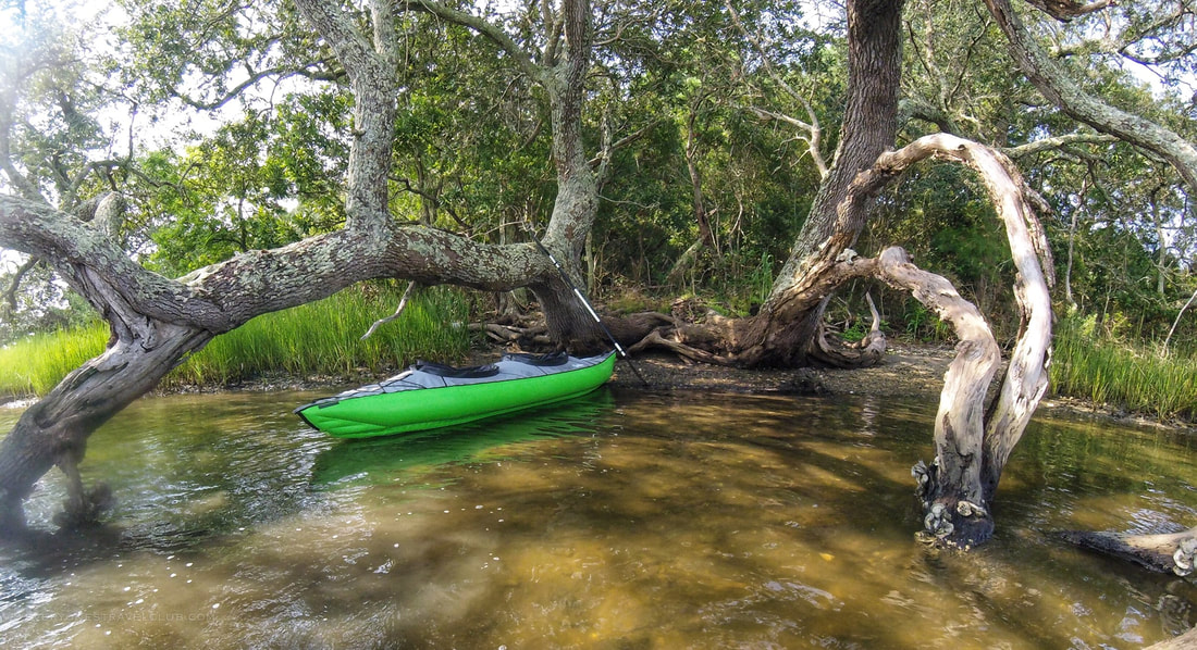 Finding a live oak landing site for our kayak on the Permuda Island Reserve