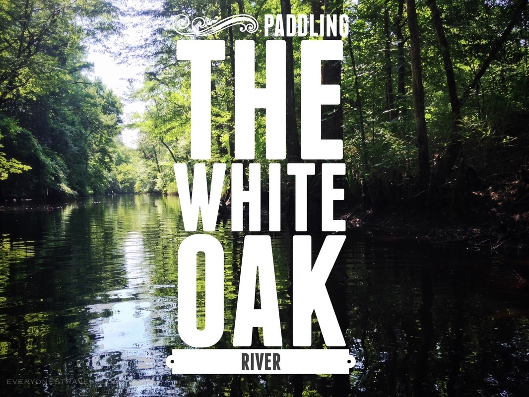 Part 2 of my kayaking trip down the White Oak River in Eastern North Carolina.
