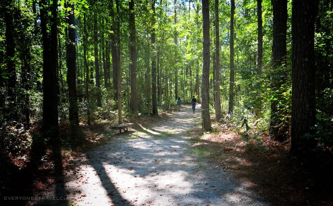 Hiking in Goose Creek State Park