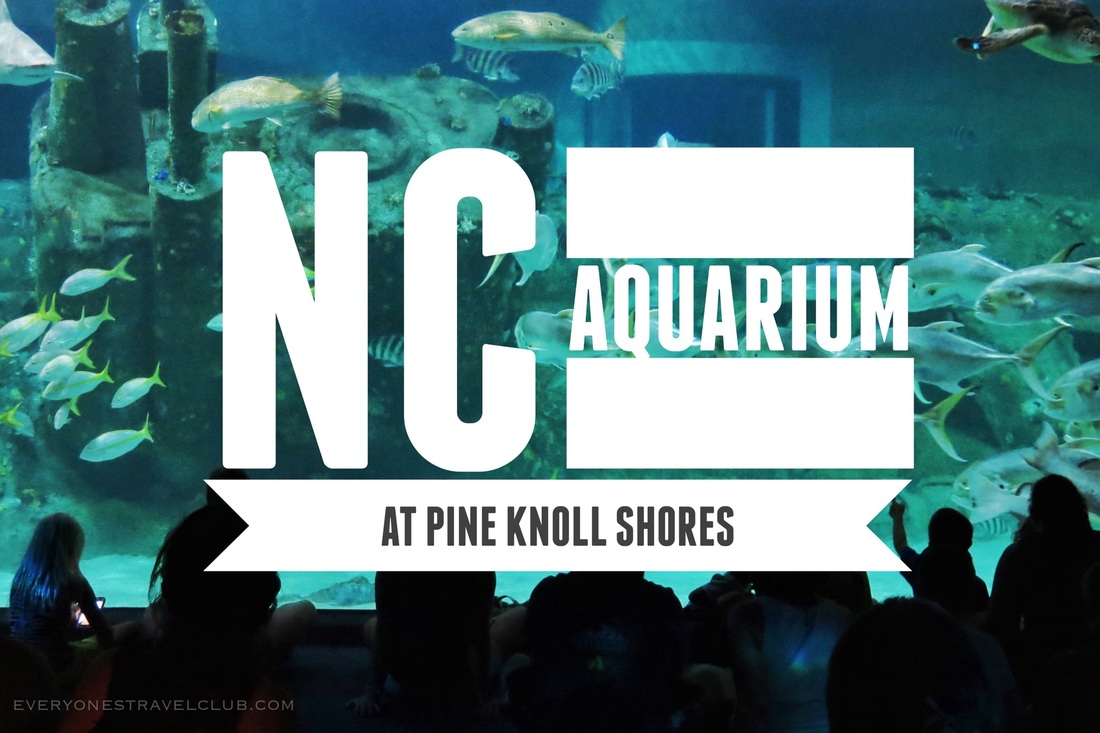 Visiting the North Carolina Aquarium at Pine Knoll Shores